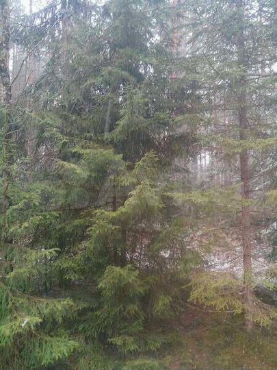 Участок 26 сот. (ИЖС)