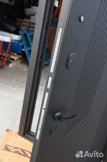 Дверь входная Протея Зеркало