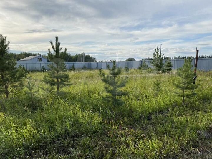 Участок 6,1 сот. (ИЖС)