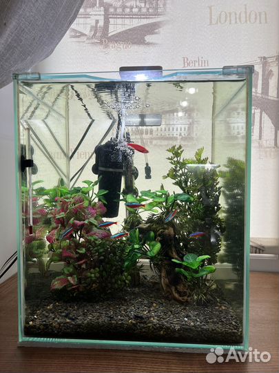 Нано аквариум