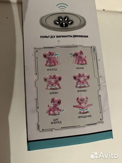 Кот с пультом