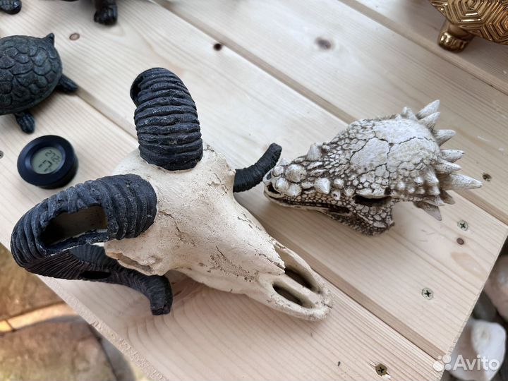 Декорации для террариума