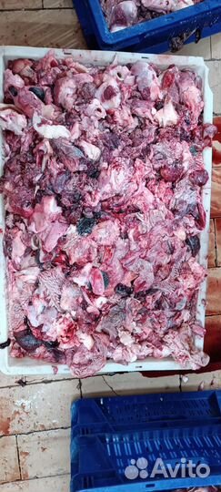 Головная Говяжья обрезь для собак