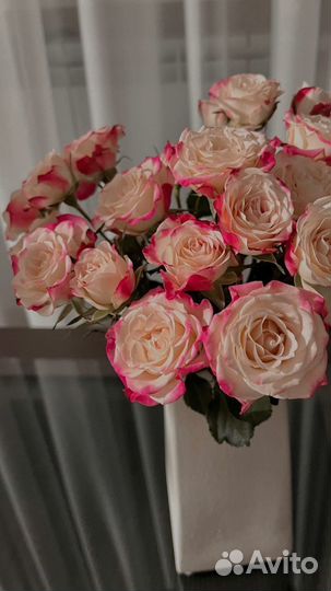 Букет из 21, 25, 31, 51 розы Цветы с доставкой