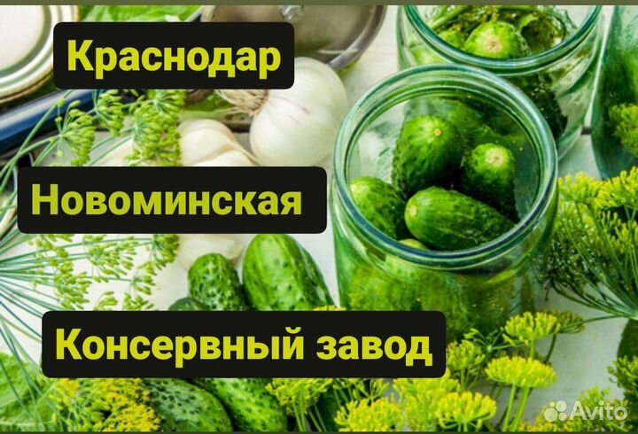 Разнорабочие вахтой. Покупаем билет