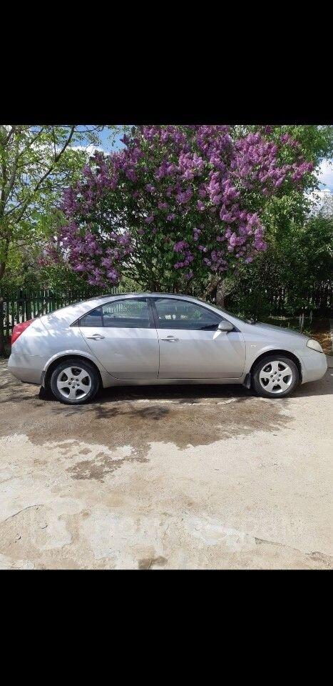 Nissan Primera: фото владельца