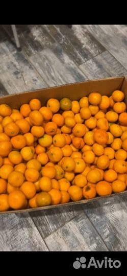 Мандарин абхазия (опт и розница)