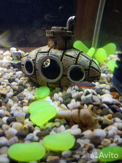 Аквариум с рыбками 10л