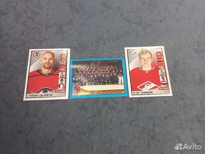 Наклейки panini кхл 2022 2023