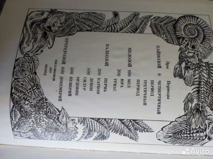 Тропой времен