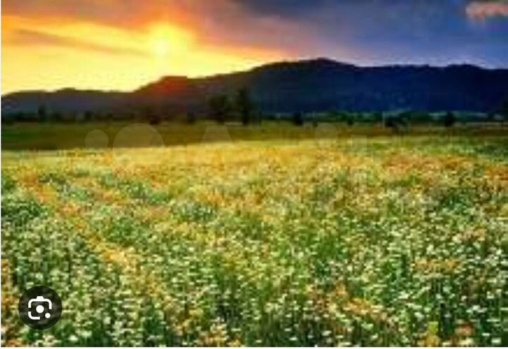 Участок 4,5 сот. (СНТ, ДНП)