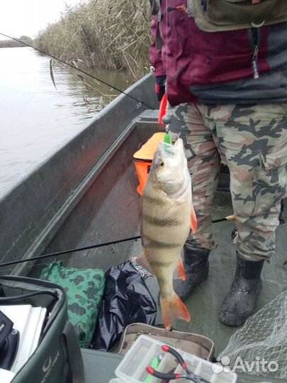 Рыбалка и охота в Астрахани