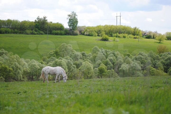 Дом 70 м² на участке 50 сот.
