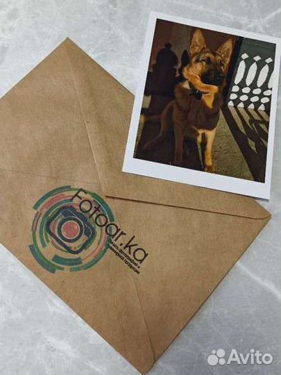 Печать фотографий Polaroid