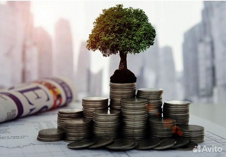 Ищу проект для инвестиции