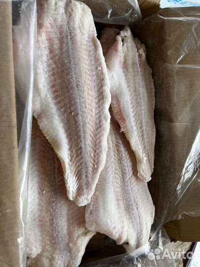 Филе пангасиуса