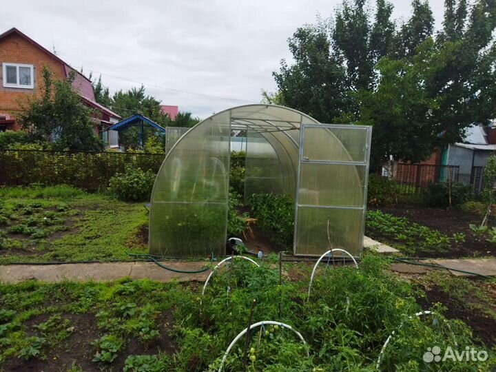 Теплица Поликарбонат