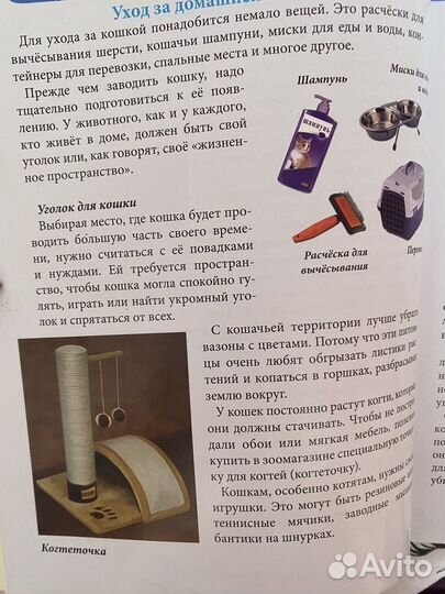 Энциклопедия для детей