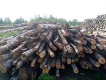 Баланс на дрова береза