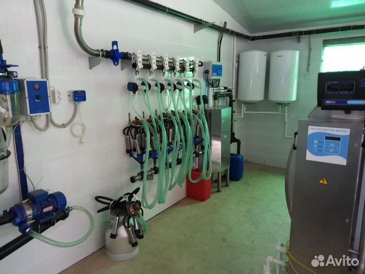 Молокопровод, летний лагерь. 50,100,150,200 голов