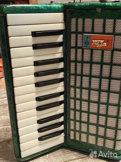 Аккордеон Теза Юность 2 начинающим