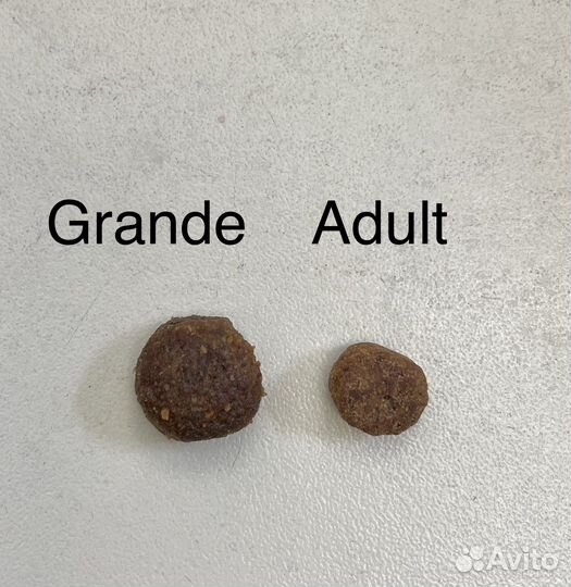 Sanabelle Grande. Сухой корм для крупных кошек