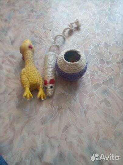 Все для кошек