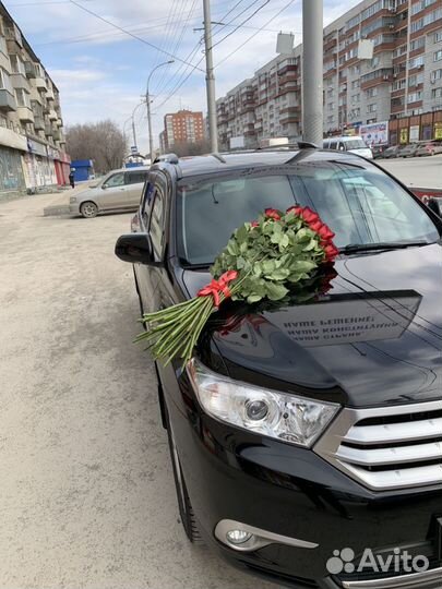 Роза 100 см в наличии