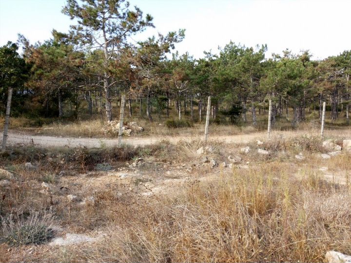 Участок 5,7 сот. (СНТ, ДНП)