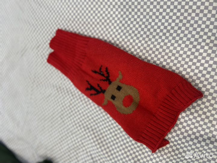 Одежда для маленьких собак