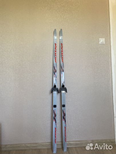 Беговые лыжи alaska cruiser 160см