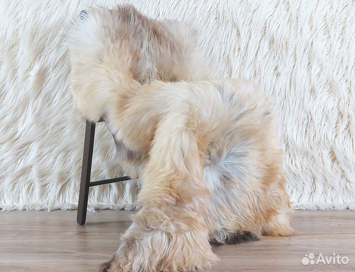 Шкура овечья серо-коричневая (№375)