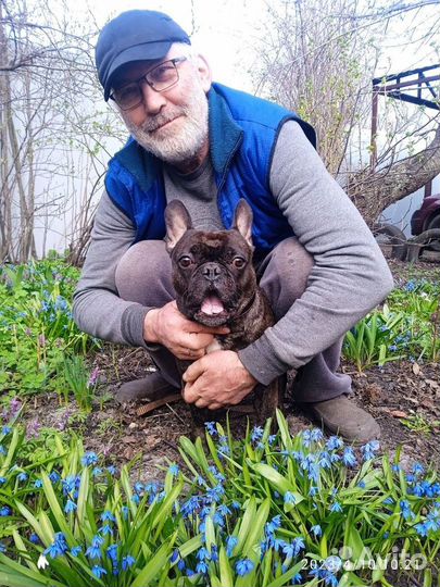 Частная гостиница для собак 