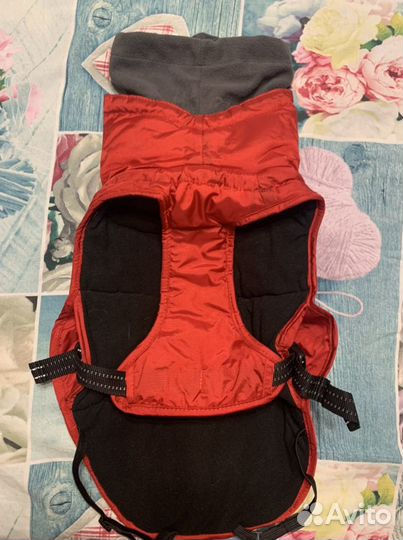 Одежда для собаки средних парод