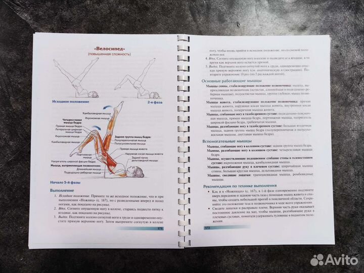 Книга Анатомия пилатеса, Раэль Исакович