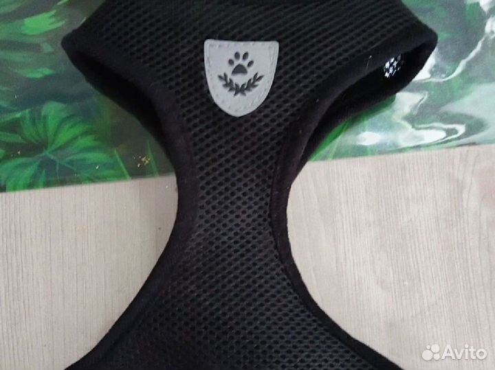 Шлейка для собаки с поводком