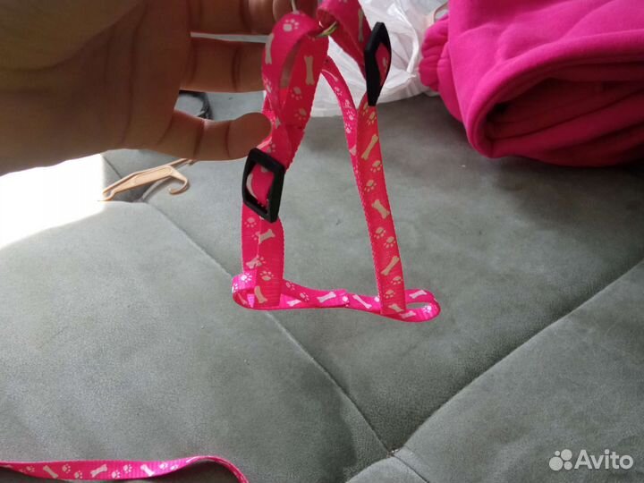 Товары для животных