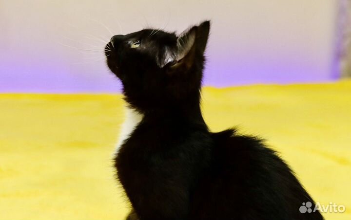 Тёма, 5 месяцев