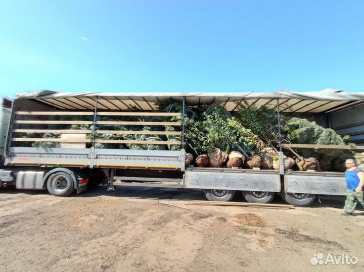 Перевозка грузов