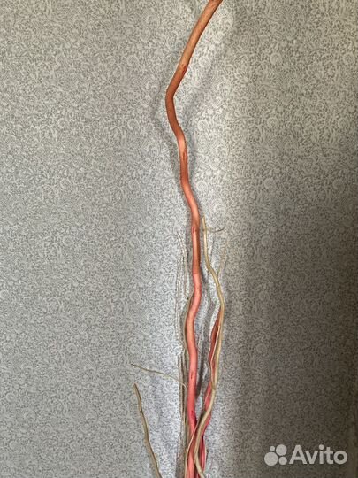 Ветки для декора