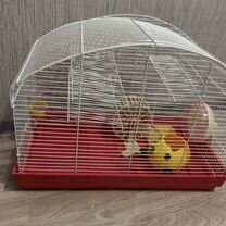 Клетка для грызунов бу