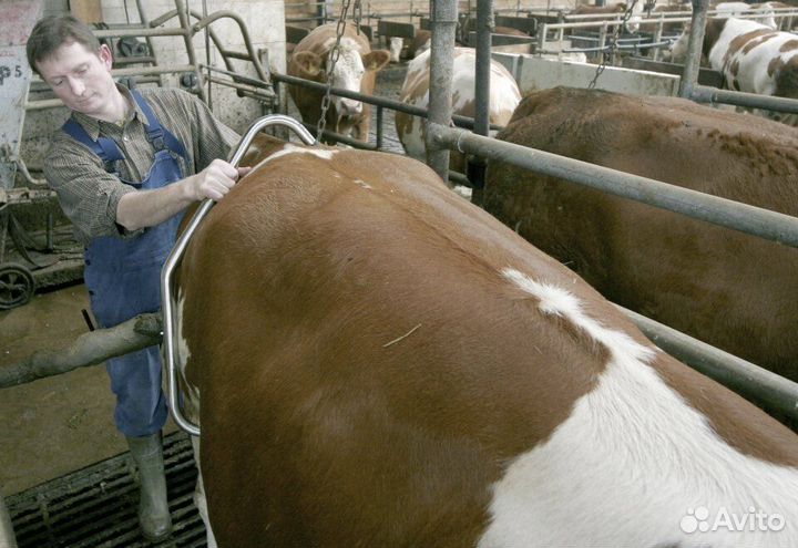 Антибрык для крс Electrolite Турция