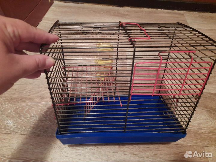 Клетка для грызунов