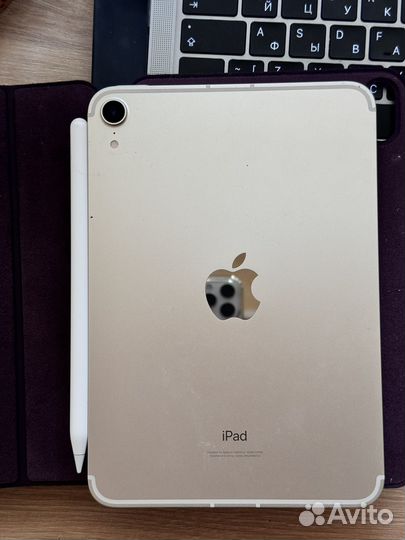 iPad mini 6 cellular