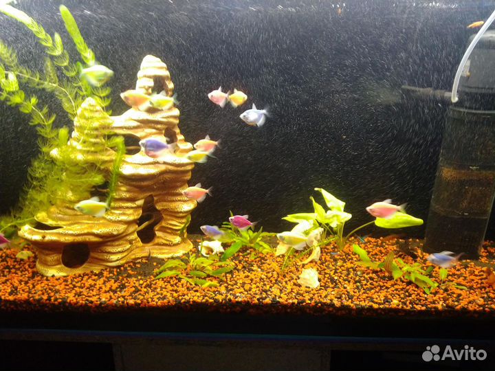 Украшение для аквариума