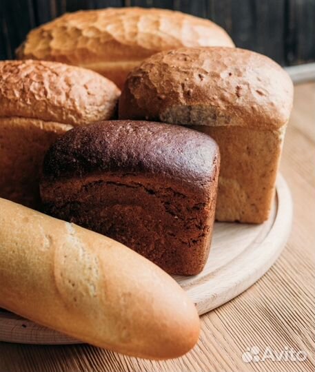 Хлеб для любимых животных