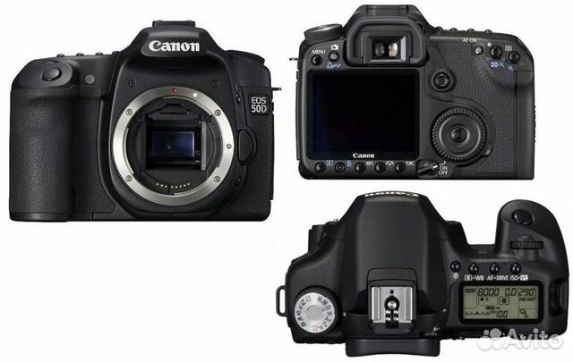 Canon eos 50d примеры фото