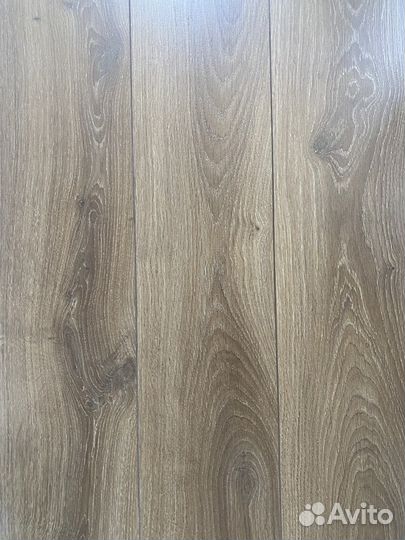 Ламинат Kastamonu