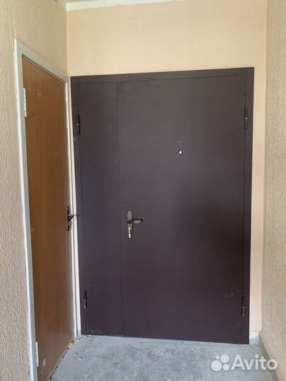 Тамбурная дверь