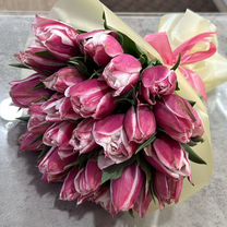 Тюльпаны, Махачкала